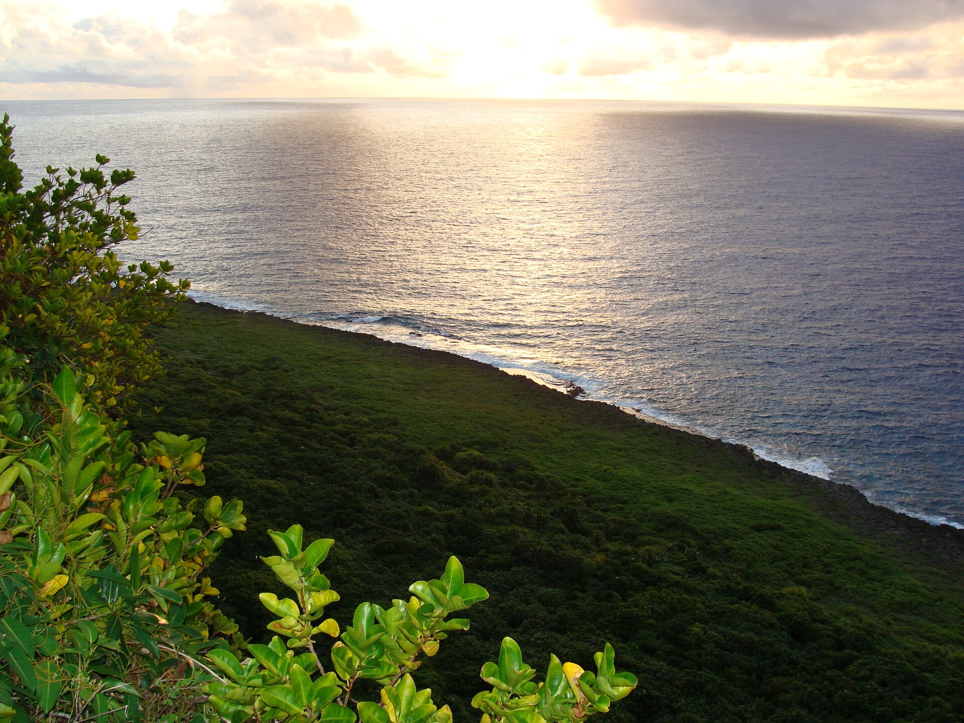 Coastal cliffs and tropical forest at Rota Bird Sanctuary